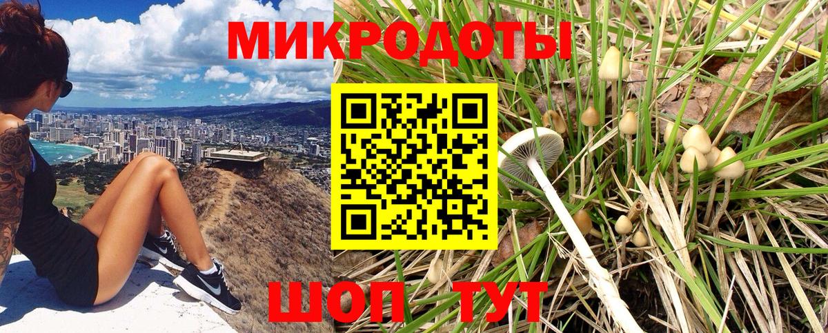 Йошкар-Ола  Псилоцибиновые грибы GOLDEN TEACHER  Галлюциногенные грибы Psilocybe  Вход с VPN 