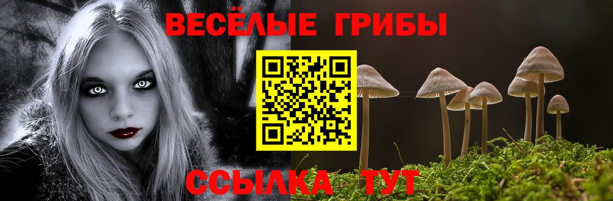 Псилоцибиновые грибы Cubensis Йошкар-Ола
